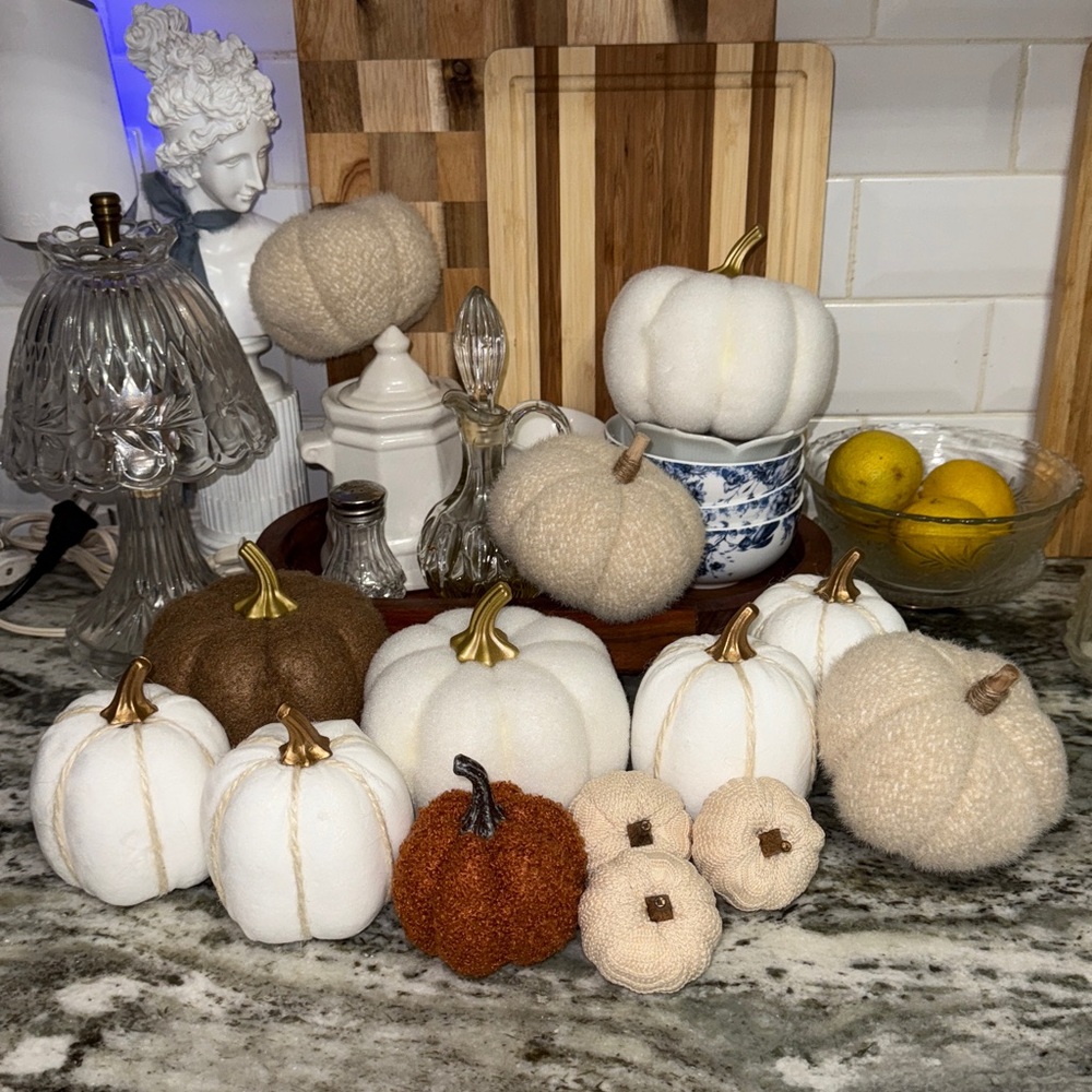 Decorative White and Brown Pumpkins Set of 14